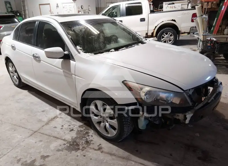 2008 Honda Accord фото