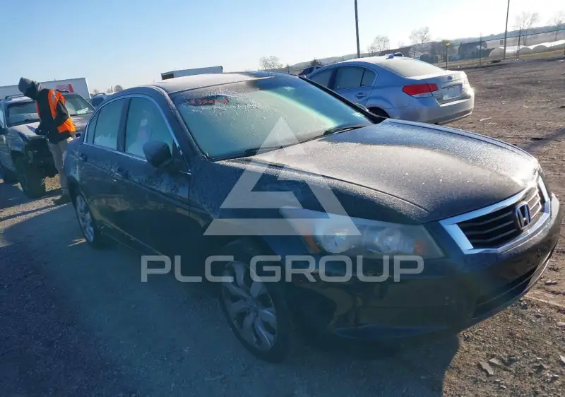 2008 Honda Accord photo