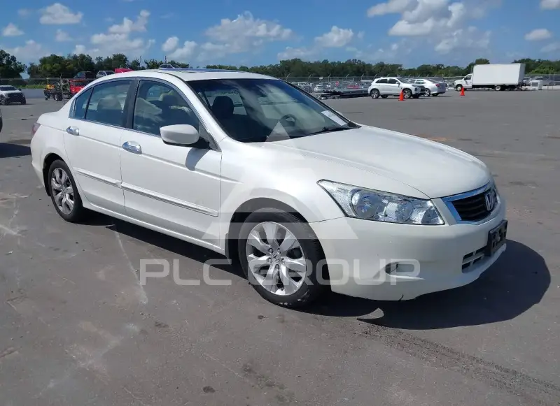 2008 Honda Accord фото