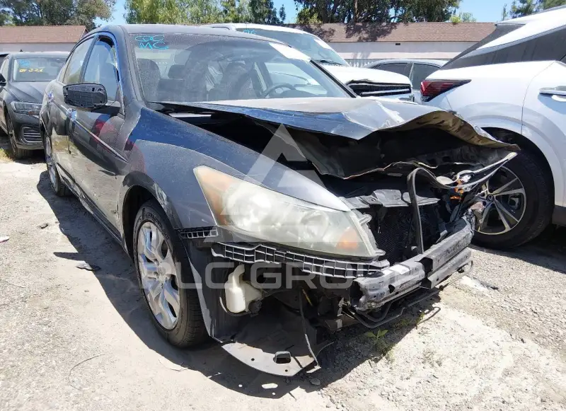 2008 Honda Accord фото