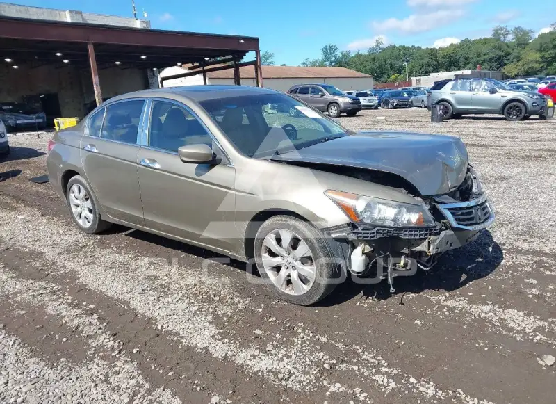 2008 Honda Accord фото