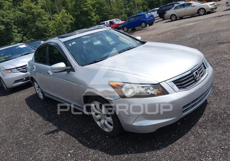 2008 Honda Accord фото