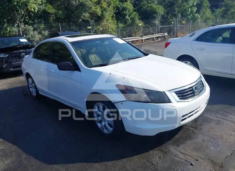 2008 Honda Accord photo