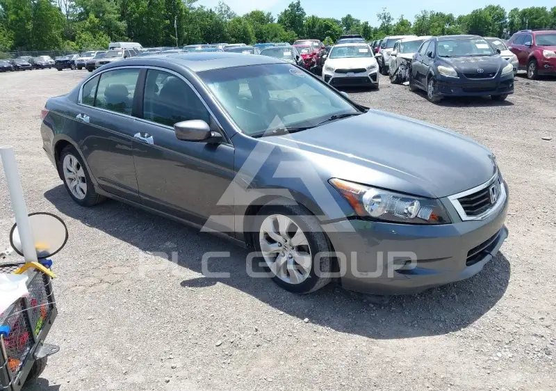 2008 Honda Accord фото