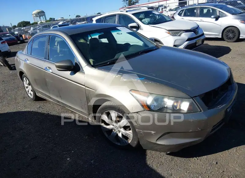 2008 Honda Accord photo