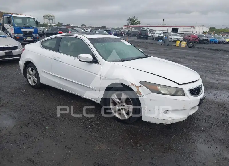 2008 Honda Accord photo