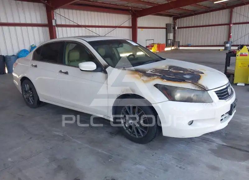 2008 Honda Accord фото