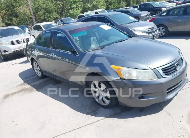 2008 Honda Accord фото