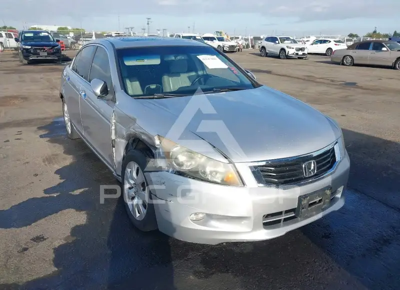 2008 Honda Accord photo
