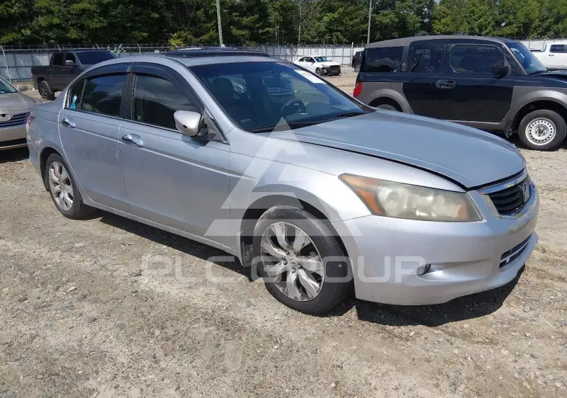 2008 Honda Accord photo