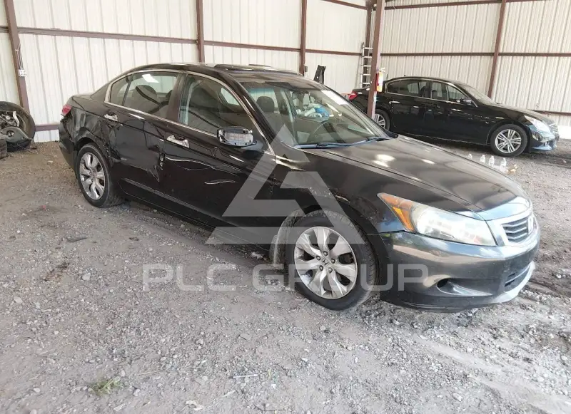 2008 Honda Accord фото