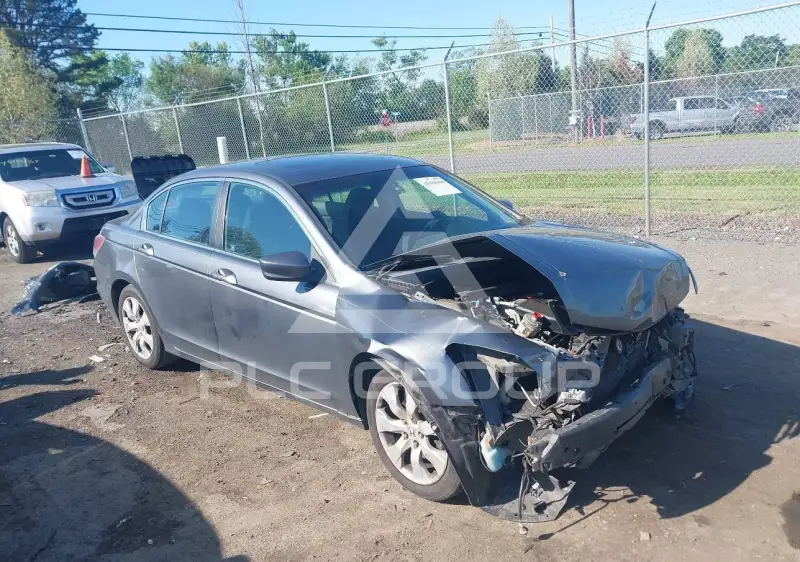 2008 Honda Accord photo