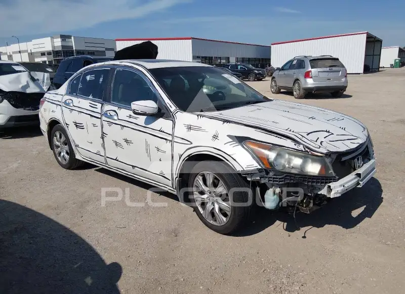 2008 Honda Accord фото