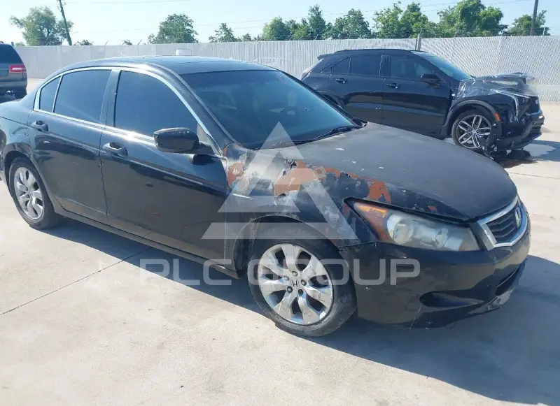 2008 Honda Accord photo