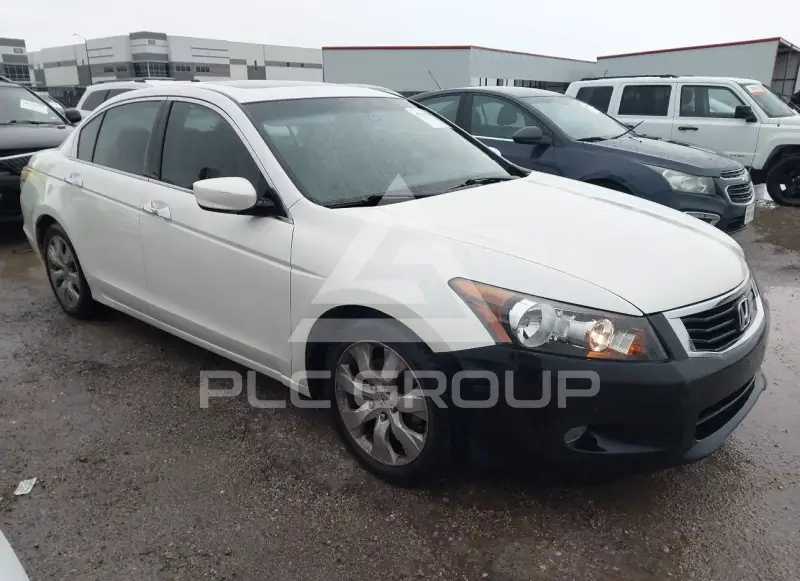2008 Honda Accord фото