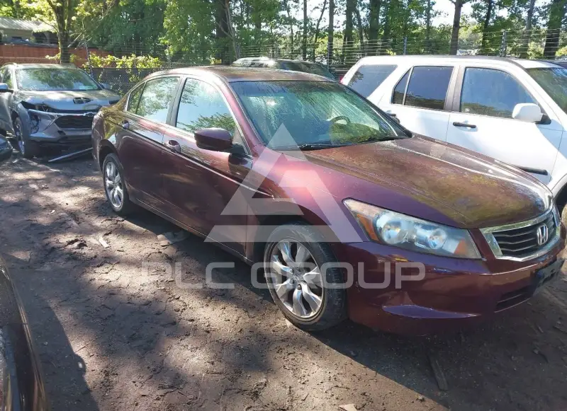 2008 Honda Accord photo