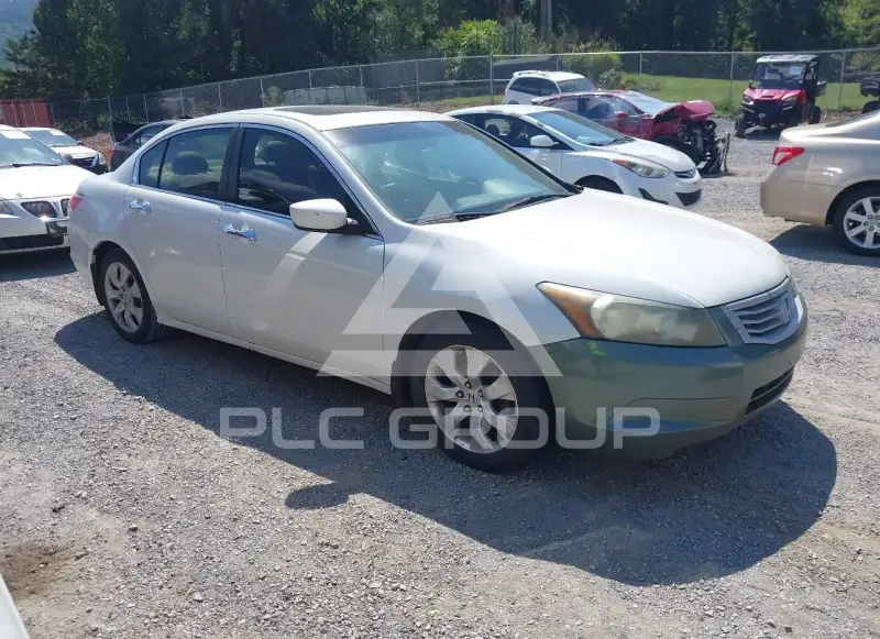 2008 Honda Accord фото