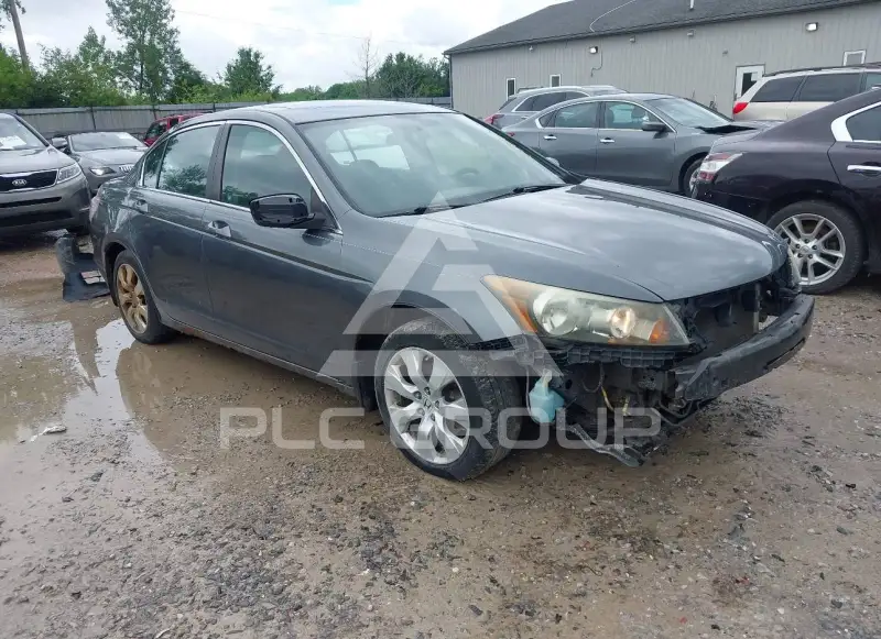 2008 Honda Accord фото