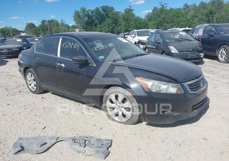 2008 Honda Accord photo