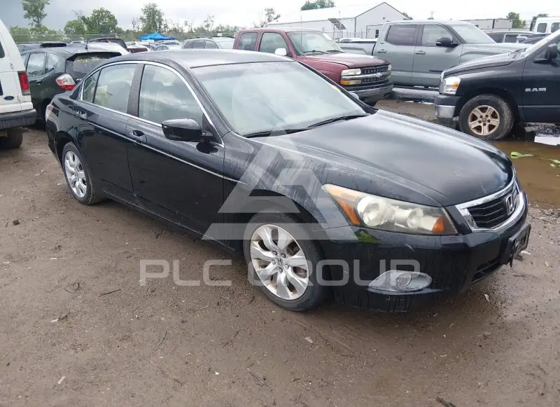 2008 Honda Accord photo