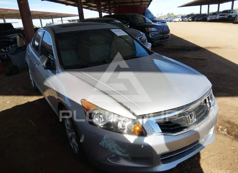 2008 Honda Accord photo