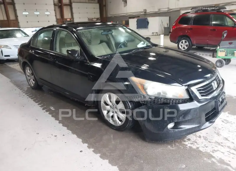 2008 Honda Accord photo
