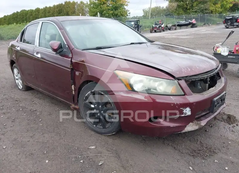 2008 Honda Accord photo