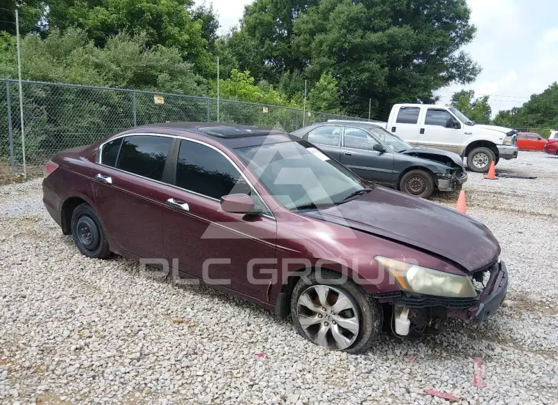 2008 Honda Accord photo
