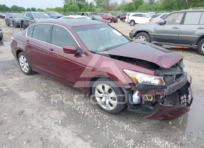 2008 Honda Accord photo