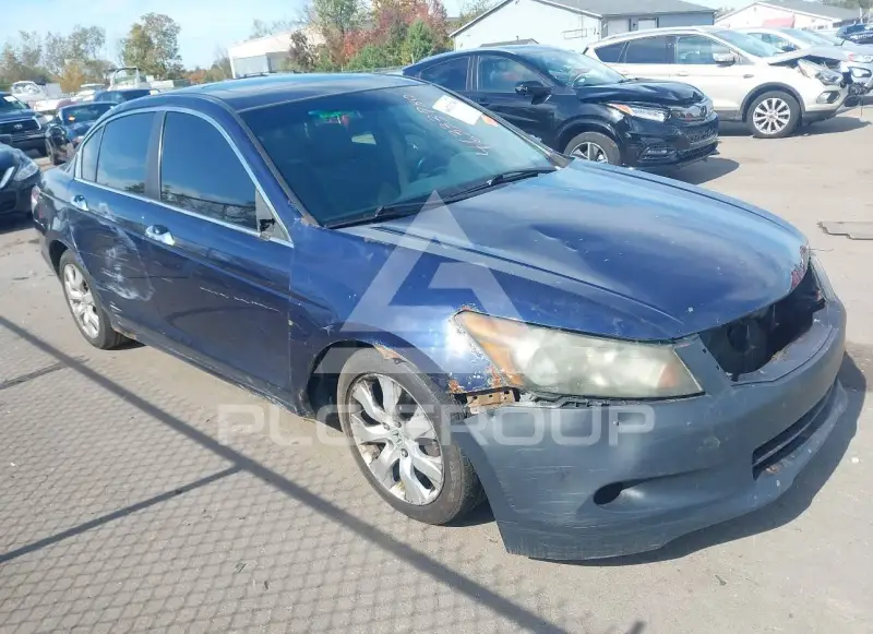 2008 Honda Accord фото