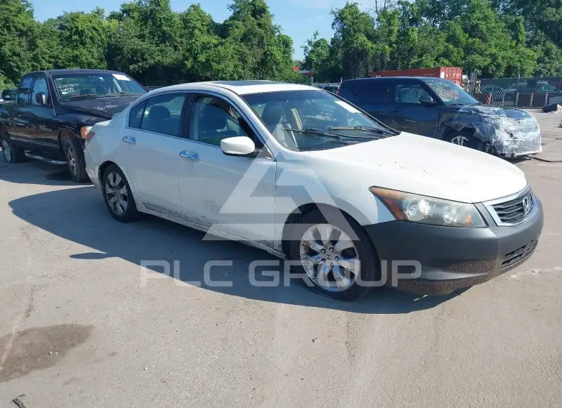 2008 Honda Accord photo