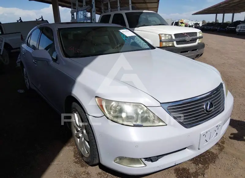 2008 Lexus LS460 фото