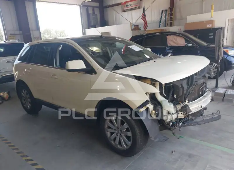 2008 Ford EDGE фото