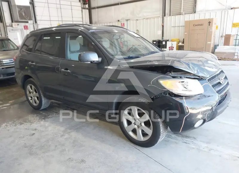 2008 Hyundai Santa Fe фото