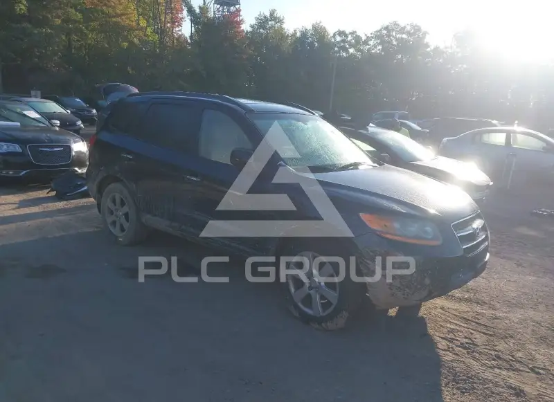 2008 Hyundai Santa Fe фото