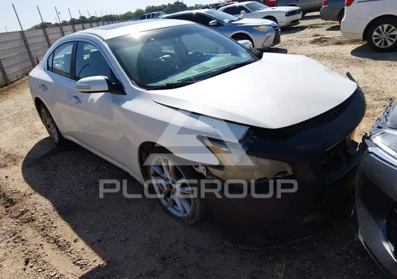 2009 Nissan MAXIMA фото