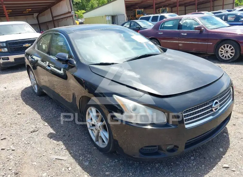 2009 Nissan MAXIMA photo