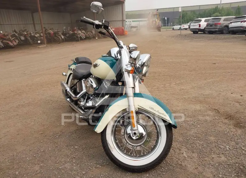 2009 Harley-Davidson FLSTN фото