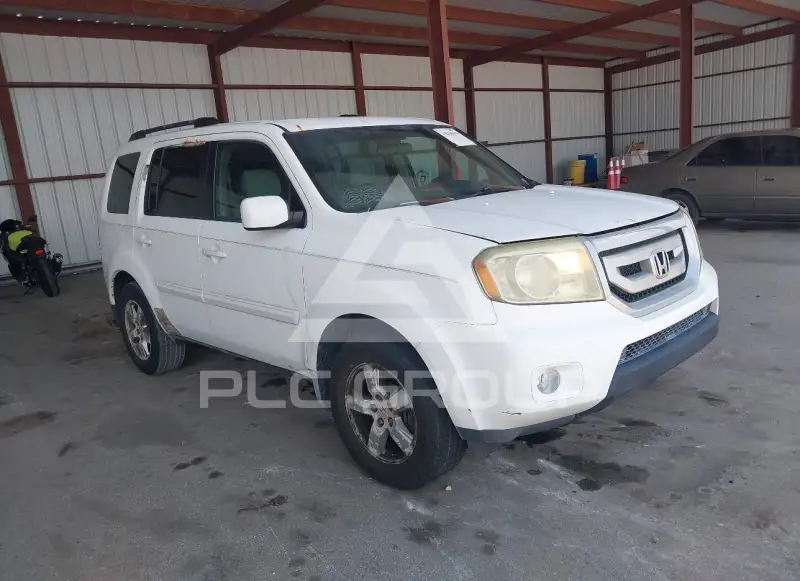 2009 Honda PILOT фото