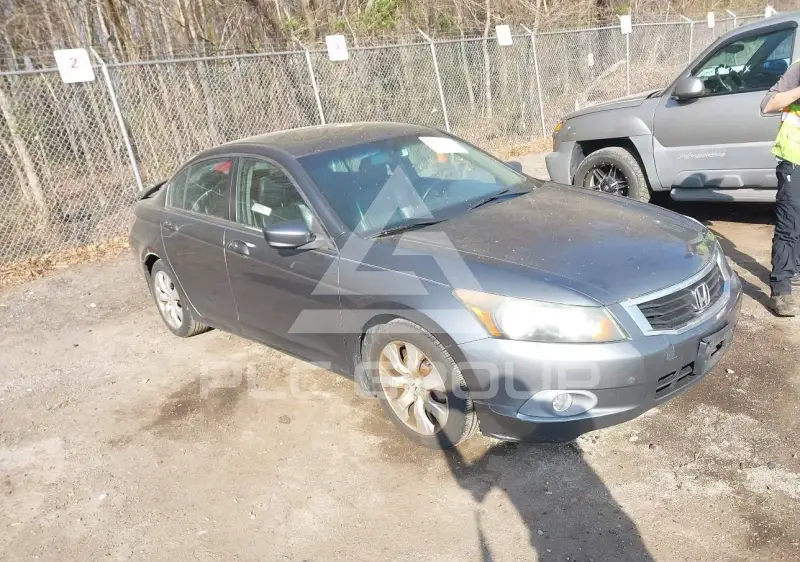 2009 Honda Accord фото