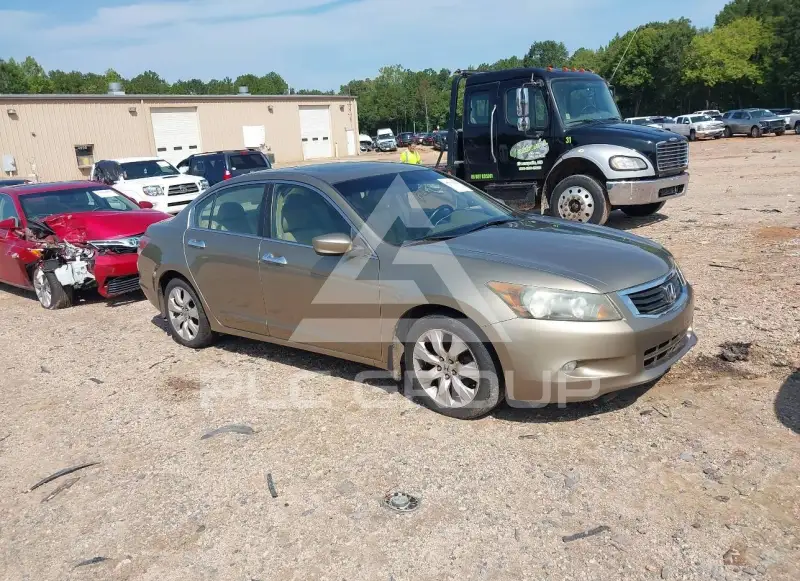 2009 Honda Accord photo