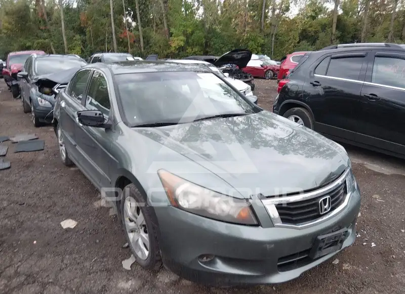 2009 Honda Accord фото