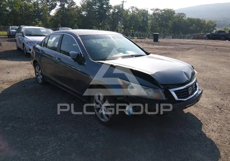 2009 Honda Accord фото