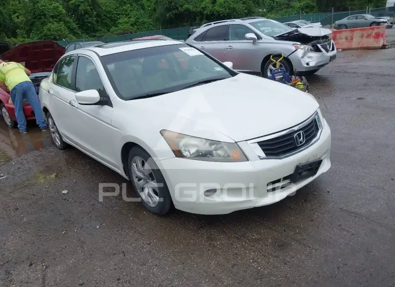 2009 Honda Accord фото