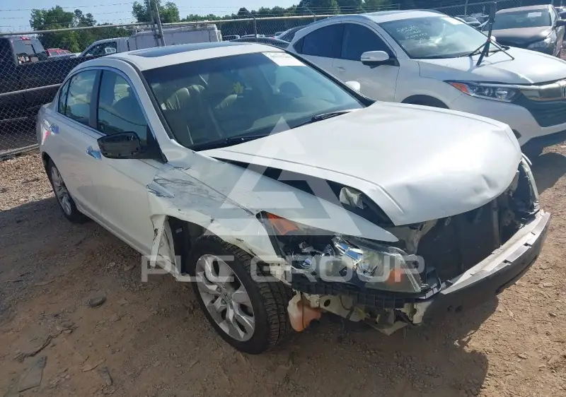 2009 Honda Accord photo