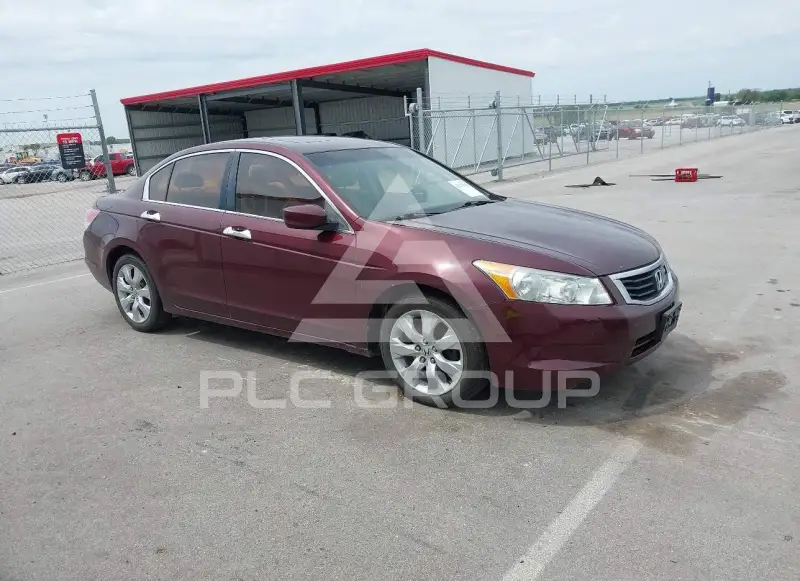 2009 Honda Accord фото