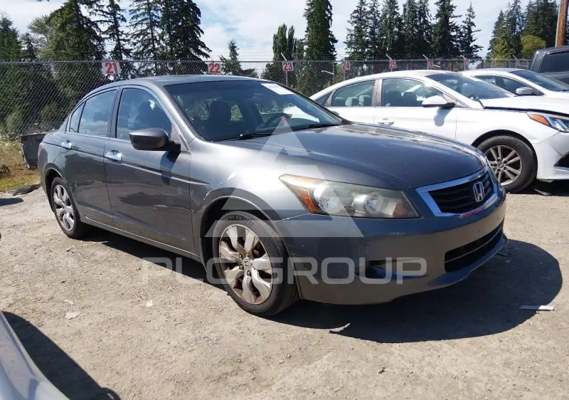 2009 Honda Accord фото