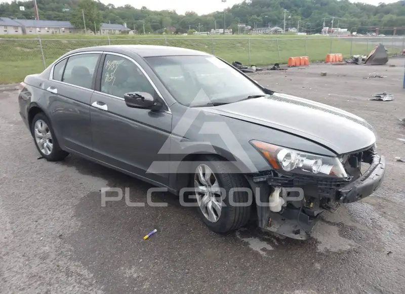 2009 Honda Accord фото