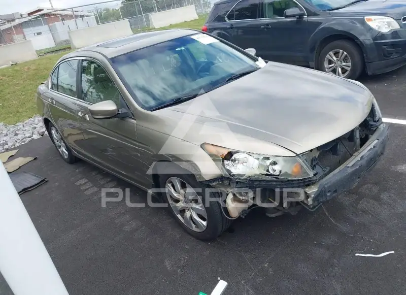 2009 Honda Accord фото