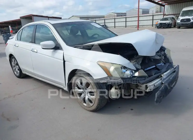 2009 Honda Accord фото